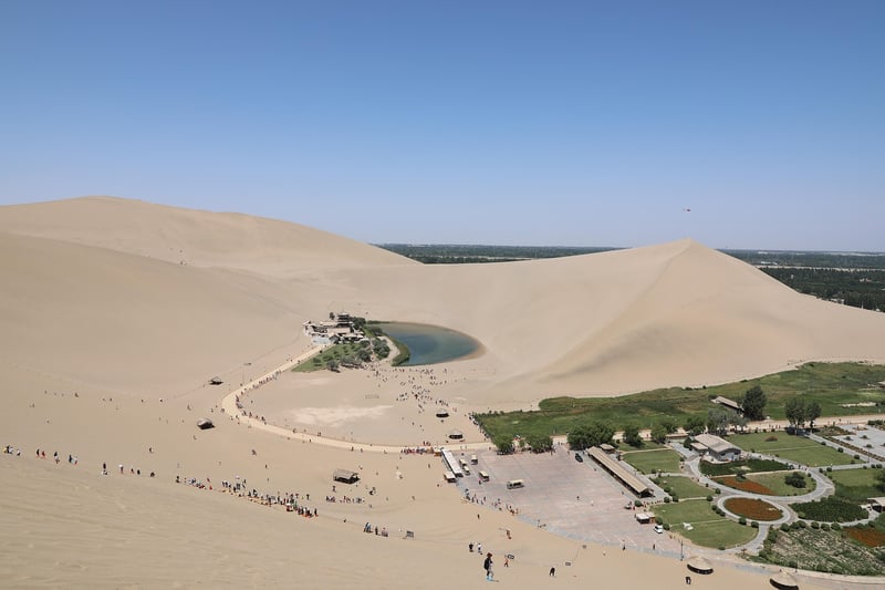 Urban oasis inspiration